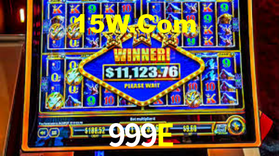 Interface Premium 999E