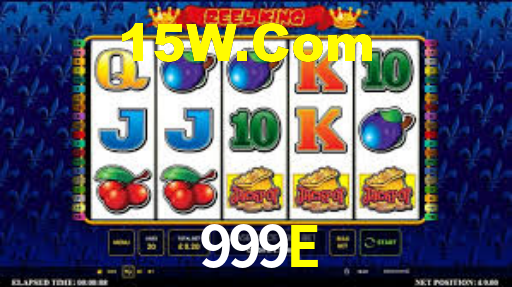 Programa VIP 999E